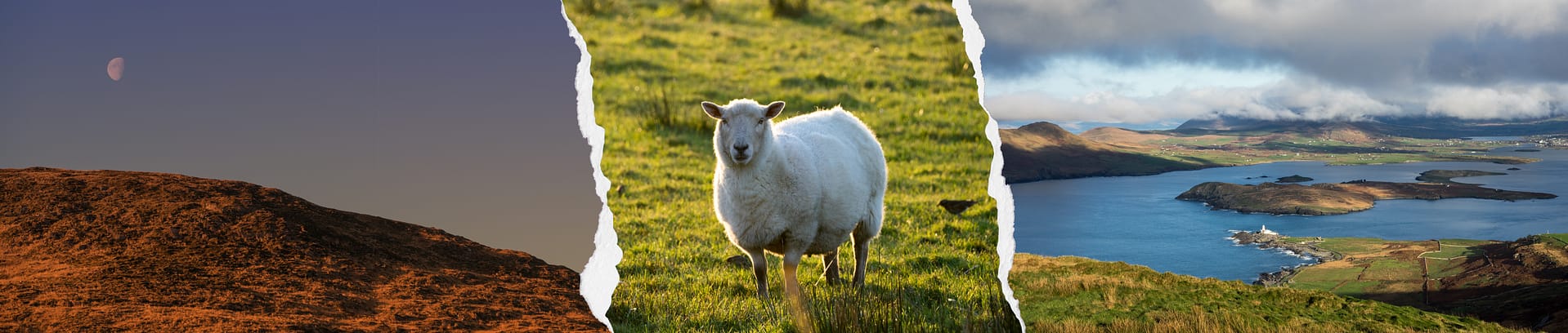 Irland Fotocollage mit Landschaften, Wasser, Bergen und Schaf